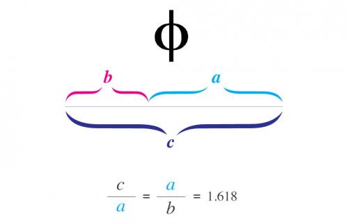 Золотая спираль ФИБОНАЧЧИ. Спираль Фибоначчи: фото, построение спирали Фибоначчи