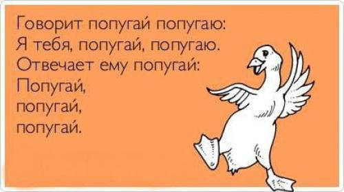Иностранцы о сложности русского языка. Русский язык — взрыв мозга для иностранцев