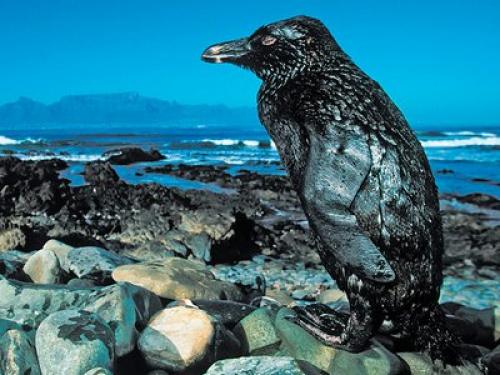 Химия и еда в жизни. Какую роль играет химия в жизни человека и зачем она нужна