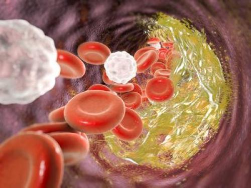 Химия и еда в жизни. Какую роль играет химия в жизни человека и зачем она нужна