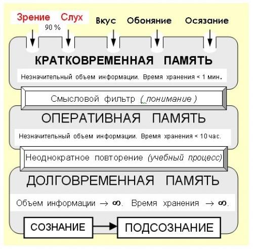 Как я развил память. 17 действенных способов улучшить память
