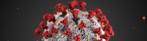 Covid-19. Симптомы коронавируса (COVID-19)