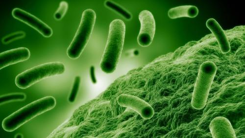 Меры предосторожности от коронавируса. Основные меры предосторожности от коронавирусной инфекции