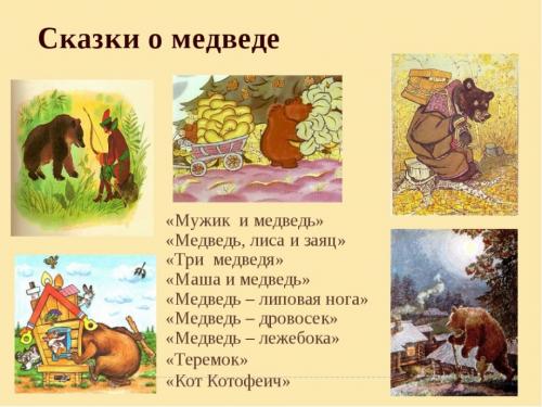 Факты о медведях. 50 интересных фактов о бурых медведях