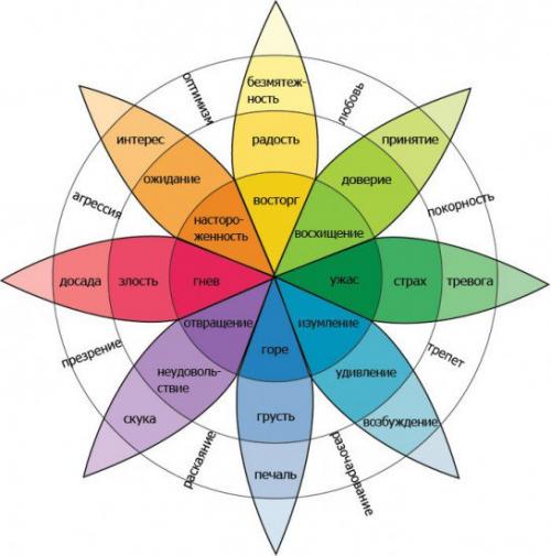 Зачем нужны эмоции. Зачем нужны эмоции?
