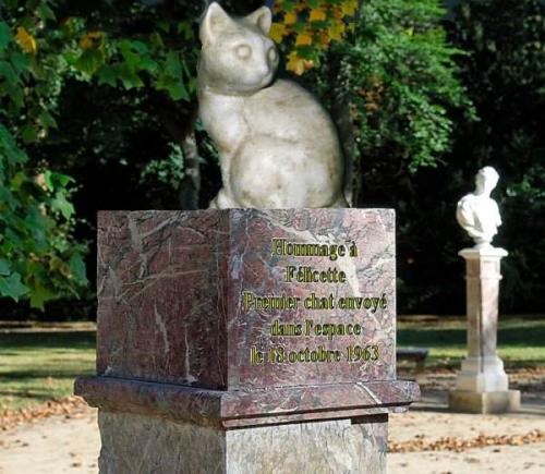 Фелисетт все о первой кошке в космосе. Кошка Фелисетт или первая кошка-космонавт