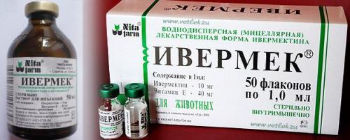 Крем ивермектин. Можно использовать в лечении человека? 03 Крем ивермектин. Можно использовать в лечении человека? 03