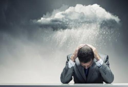 Колесо эмоций Келлермана-Плутчика. Основные виды эмоций