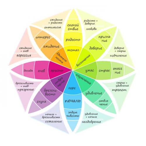 Колесо эмоций Роберта Плутчика, как им пользоваться. Колесо эмоций Роберта Плутчика