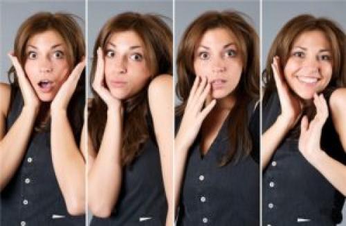 Колесо эмоций Келлермана-Плутчика. Основные виды эмоций