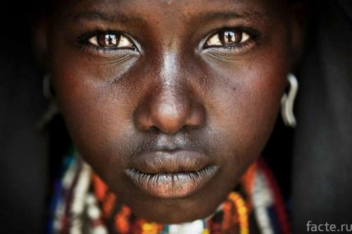 Великие заблуждения ученых