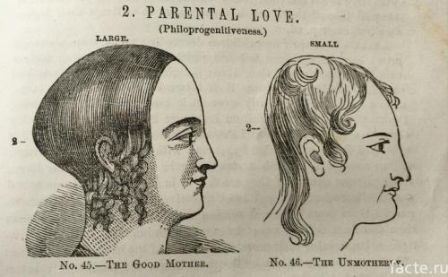 Великие заблуждения ученых