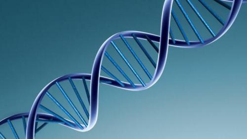 Наука это простыми словами. Наука - это что такое? Определение, суть, задачи, области и роль науки