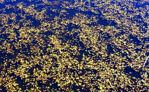 Озеро Шайтанколь глубина. Шайтанколь озеро.