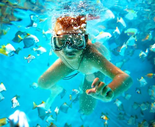 Как интересней провести время в интернете с пользой. 37 бесплатных сервисов, которые помогут вам проводить время в интернете с пользой