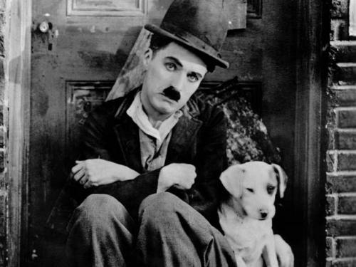 Сколько детей было у чарли чаплина. Какой была история любви Чарли Чаплина и прототипа Лолиты