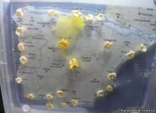 Тошуки накагаки эксперимент. Грибы обладают интеллектом?