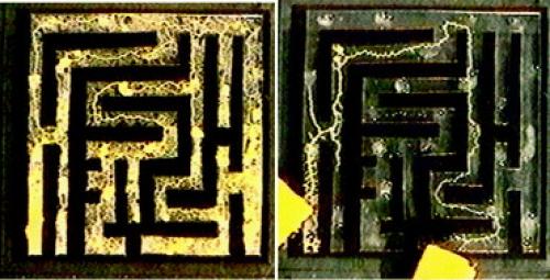 Ученый тошуки накагаки.