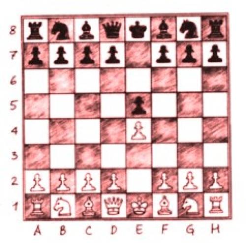 Как выиграть партию в шахматы за несколько ходов. Как выиграть в шахматы за пять шагов