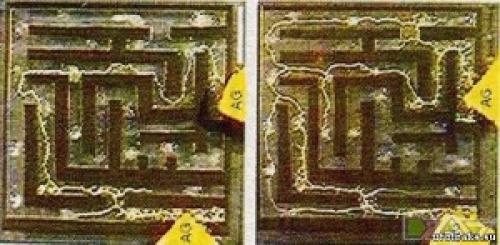 Тошуки накагаки плесень. Умная плесень