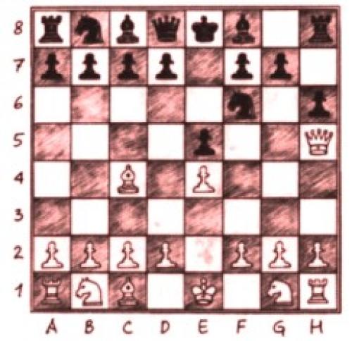 Как выиграть партию в шахматы за несколько ходов. Как выиграть в шахматы за пять шагов