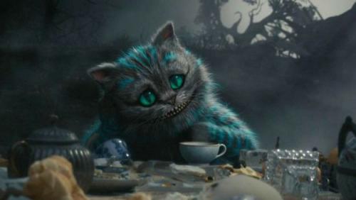 Улыбка кота Чеширского. 2019