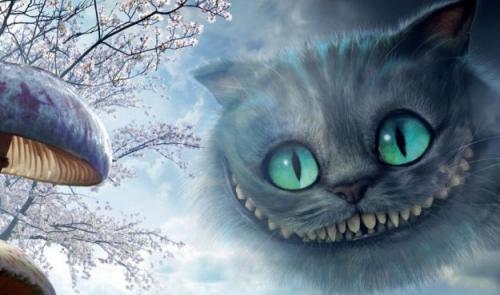 Улыбка кота Чеширского. 2019