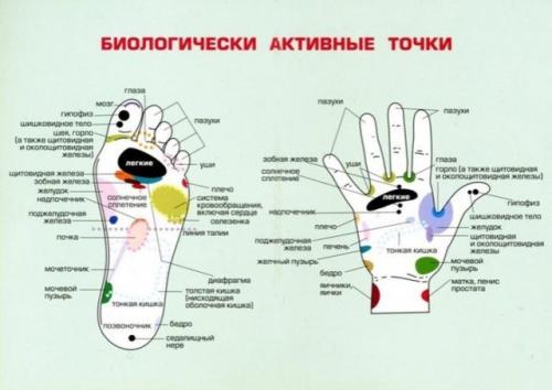 Датчики на теле человека