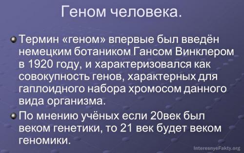 Ген простыми словами. Гены человека