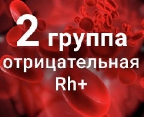 Вторая отрицательная группа крови кровь богов. Вторая отрицательная группа крови