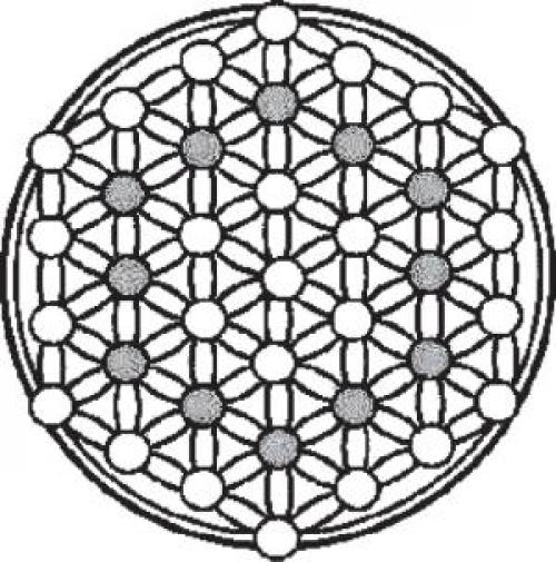 Цветок жизни. Синтез математических формул