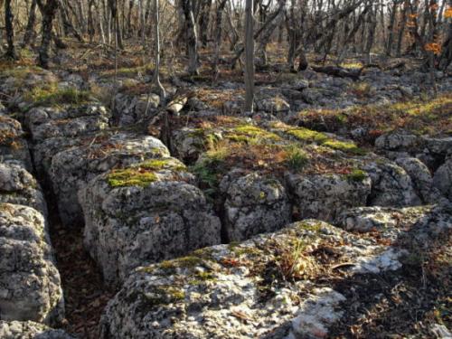 Гора Бойко в Крыму, как добраться. Гора Бойко в Крыму: где находится и как до неё добраться