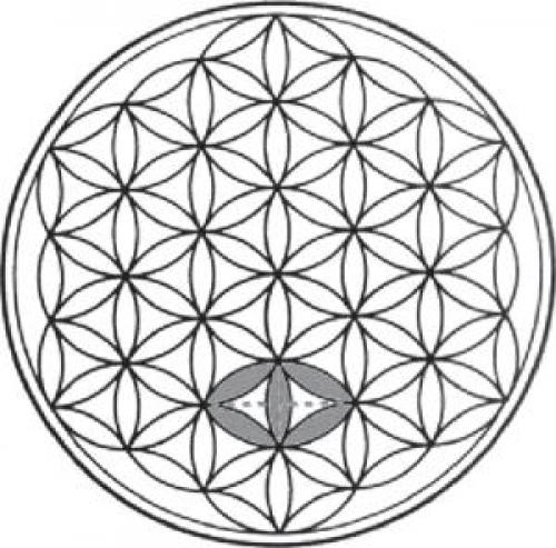 Цветок жизни. Синтез математических формул