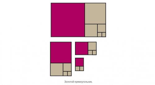 Золотое сечение в человеке. Золотое сечение в математике