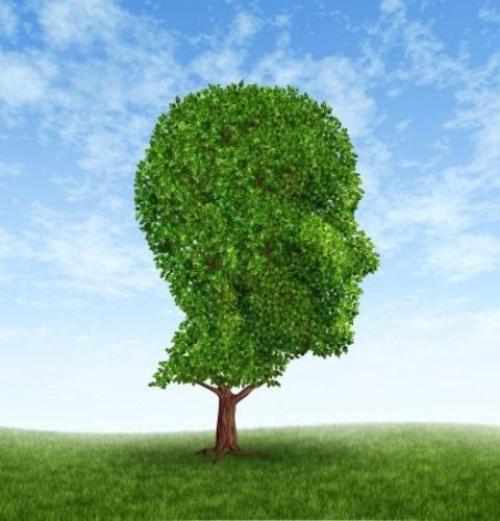 Гештальт-терапевт. После драки руками не машут