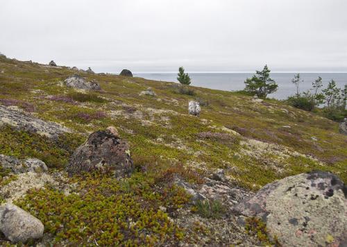 Архипелаг Кузова, как добраться. Архипелаг Кузова
