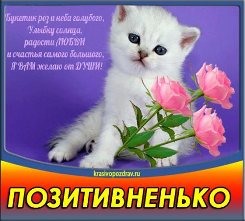 Пожелания людям всего мира. Красивые добрые пожелания друзьям