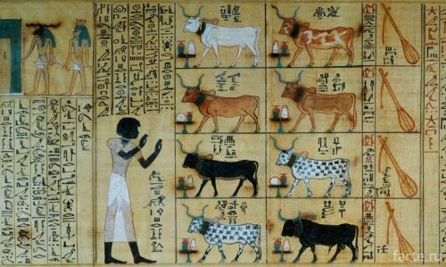 Зарождение письменности в Древнем мире. История возникновения письменности