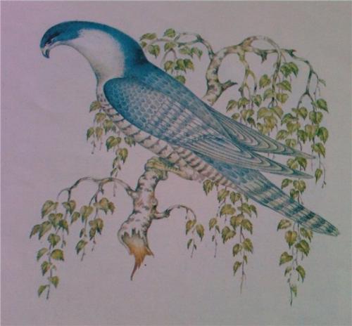 Волшебные птицы русских сказок