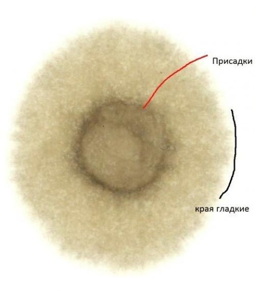 Когда менять моторное масло