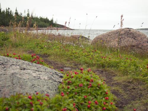 Архипелаг Кузова, как добраться. Архипелаг Кузова