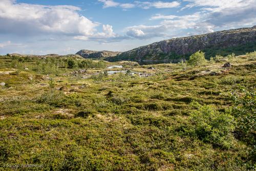 Кольский полуостров. Что посмотреть и чем заняться на Кольском полуострове