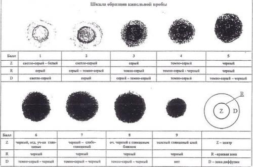 Когда менять моторное масло