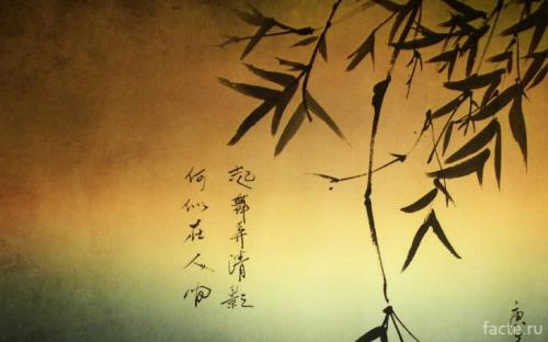 Зарождение письменности в Древнем мире. История возникновения письменности