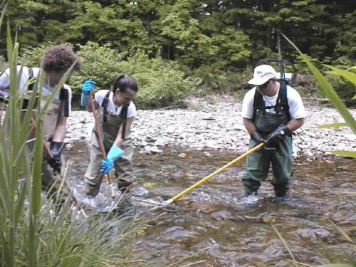 Наука о акулах называется. Круг интересов ихтиолога