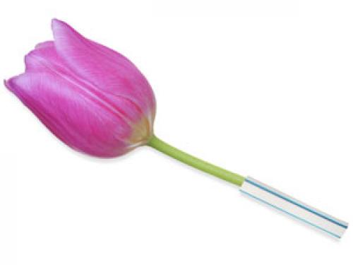 Домашние хитрости. Неожиданные домашние хитрости