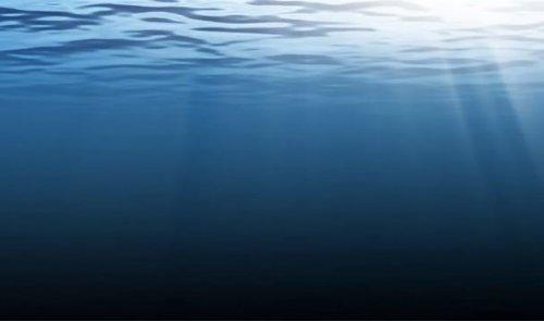 Интересные факты о рнк. Поразительные факты о ДНК в закладки 13