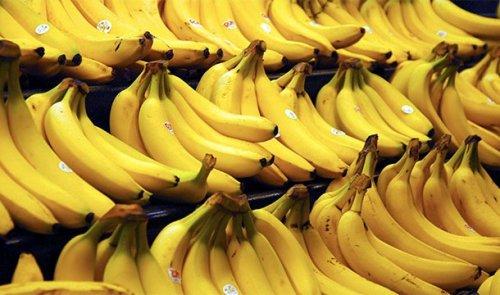 Интересные факты о рнк. Поразительные факты о ДНК в закладки 13