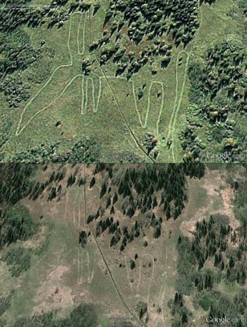 Что было 5000 лет назад на Урале. Уральскому лосю 5000 лет