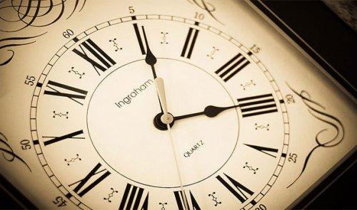 Интересные факты о рнк. Поразительные факты о ДНК в закладки 13